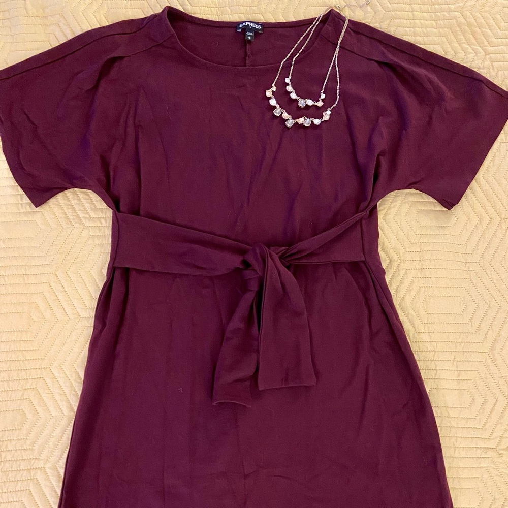 Express Front Tie Dress